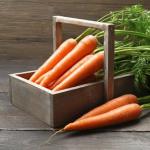 Морковная ботва – польза и вред, ее состав, применение