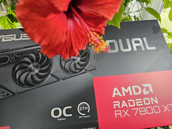 Обзор видеокарты Asus Dual Radeon RX 7800 XT OC (16 ГБ)